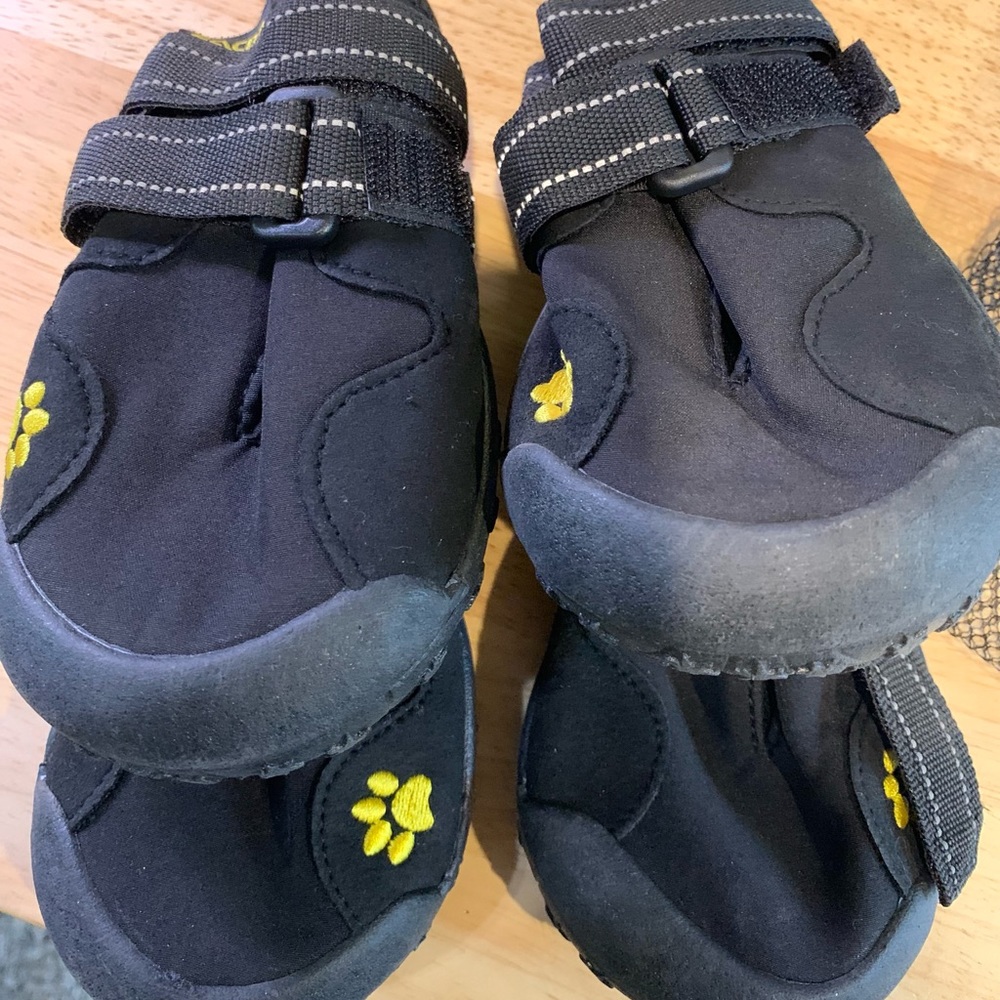 Black Dog boots